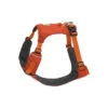 Ruffwear Hi & Light Harness -Yeti Sales 2025 1534 453905 0 image 992376 1