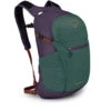 Daylite Plus -Yeti Sales 2025 dayltpluss21 f22 side axogreenenchantmentpurple