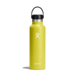 Hydro Flask 21 Oz Standard Mouth Water Bottle -Yeti Sales 2025 s21sx752 cactus straighton 1